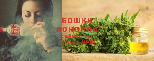 ешки Аркадак