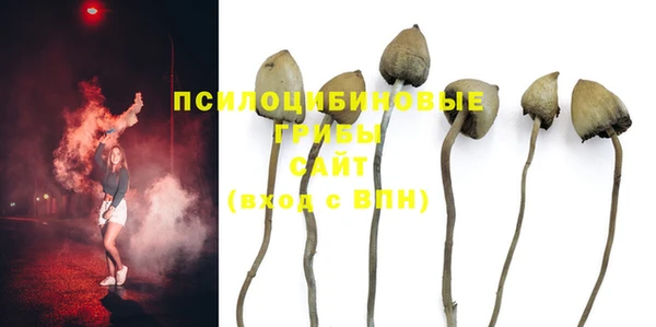 ешки Аркадак