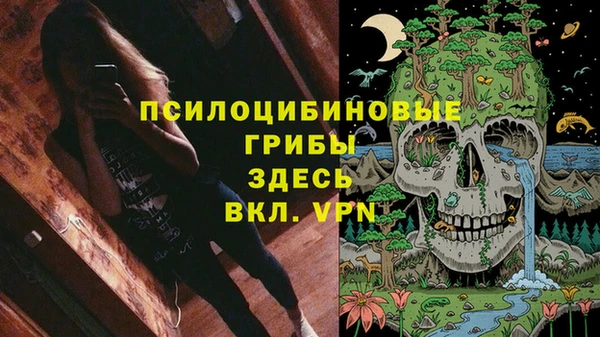ешки Аркадак