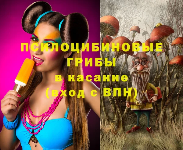 ешки Аркадак