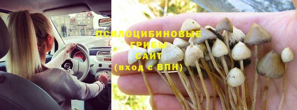 ешки Аркадак